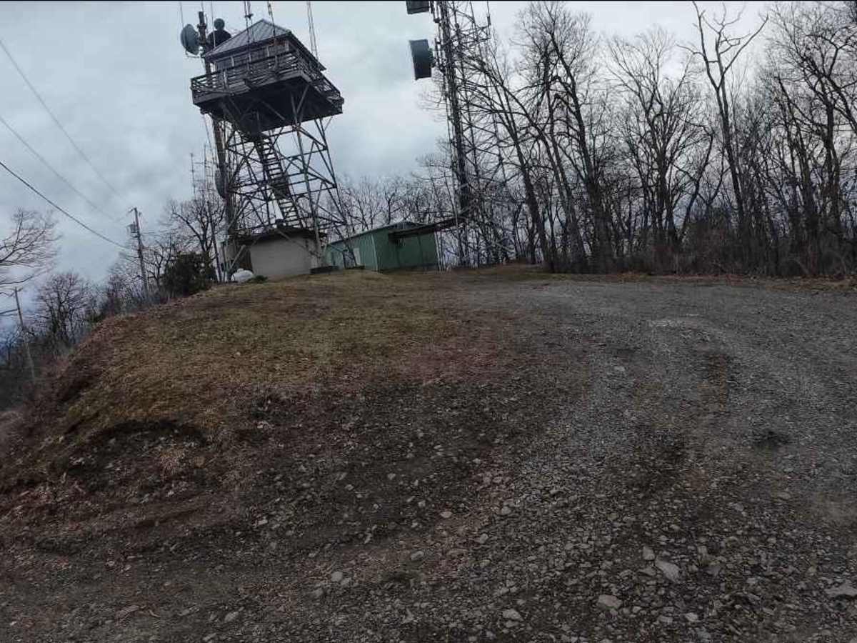 Tatham Gap Road - FS 423 photo 4