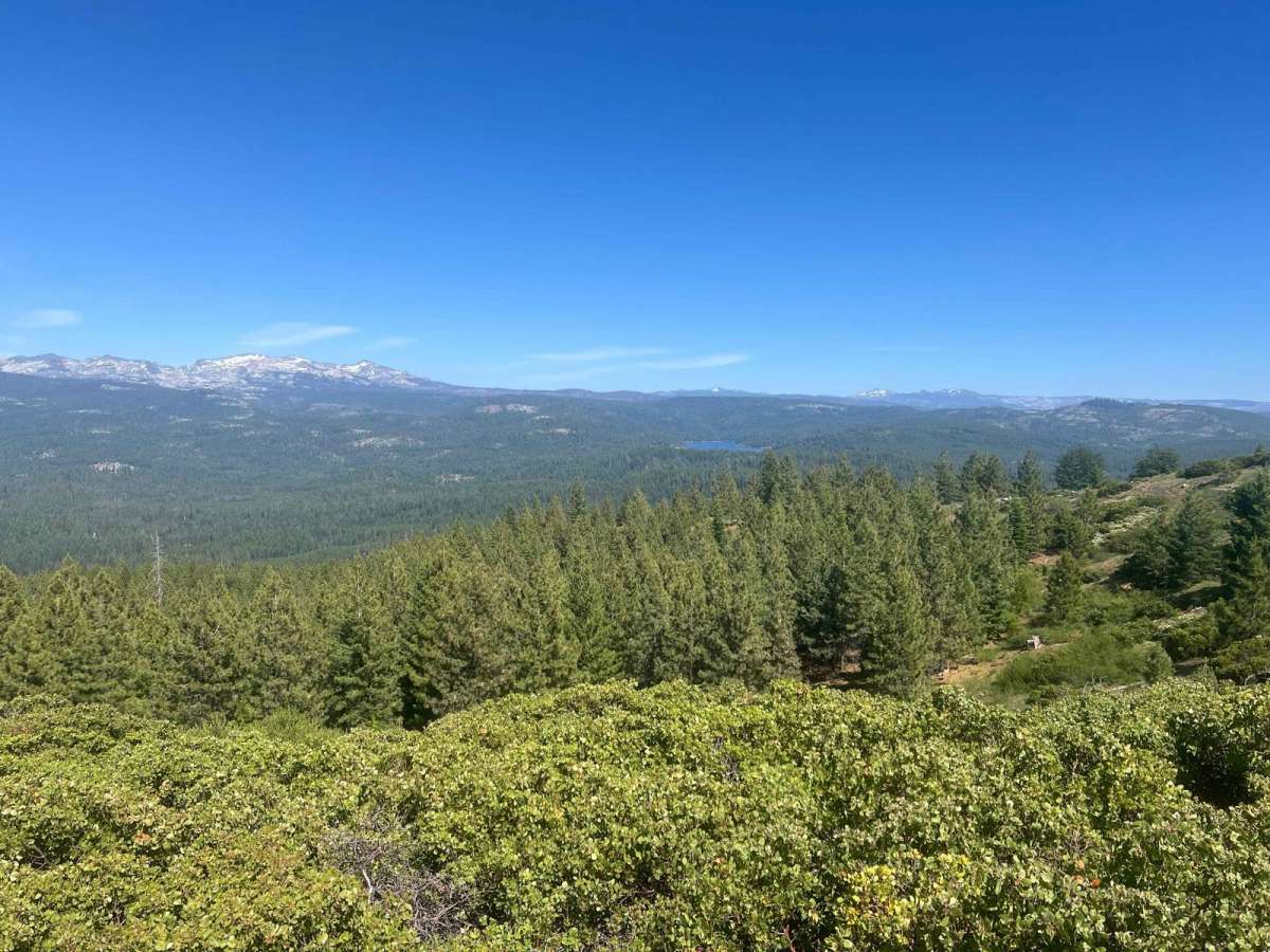 Big Hill Lookout photo 5
