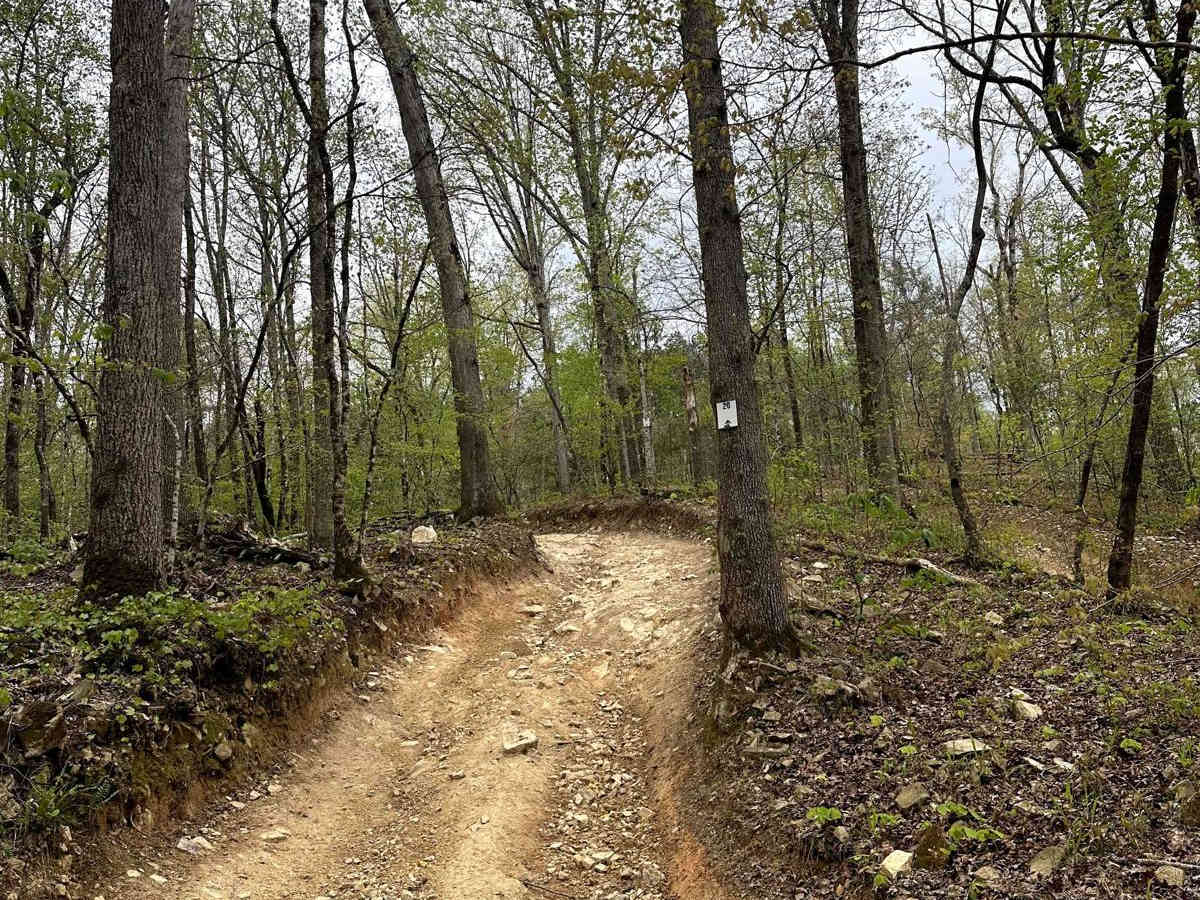 Trail 20 photo 2