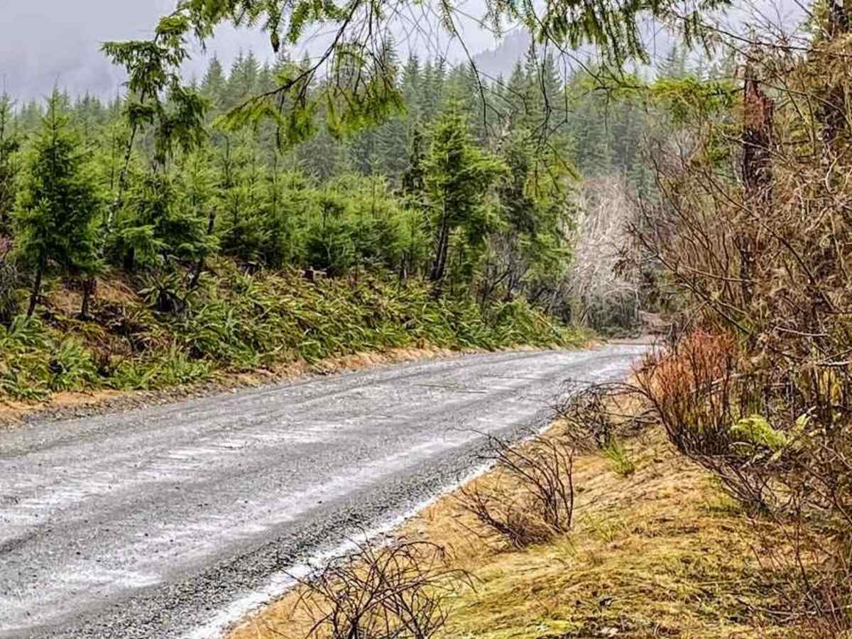 Donkey Creek Cutoff photo 3