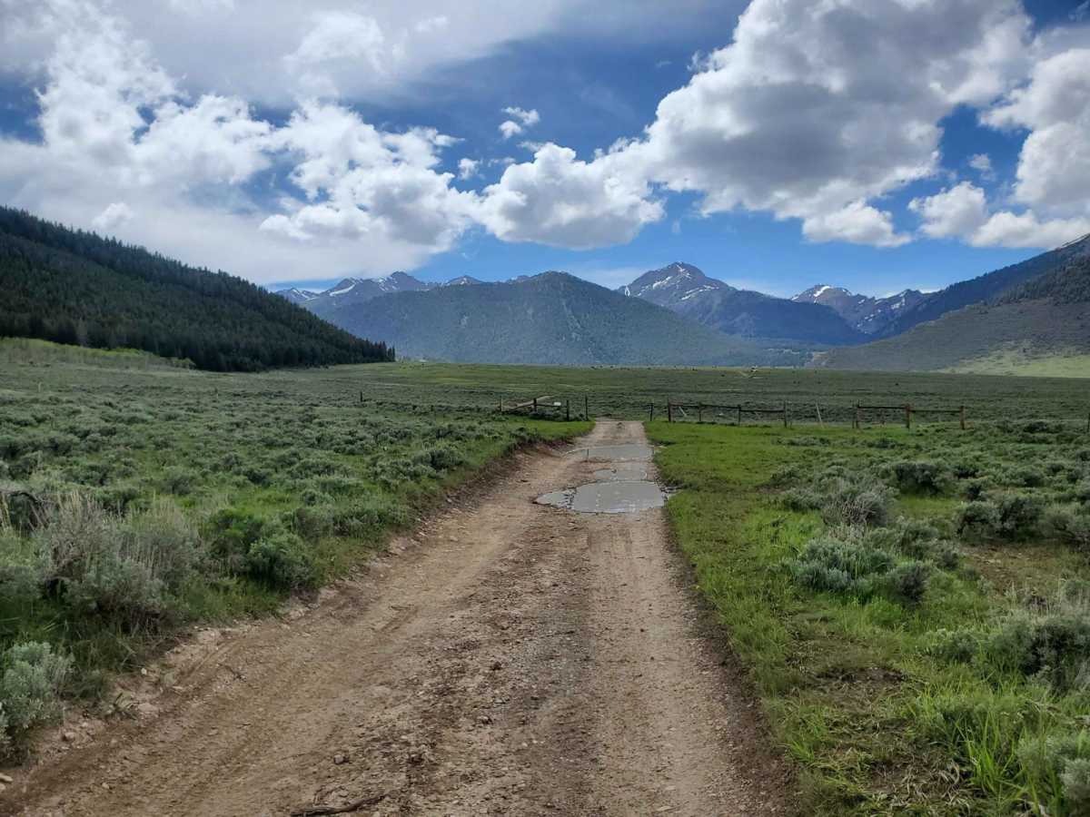 Horse Heaven Pass - NF 117/118 trail photo