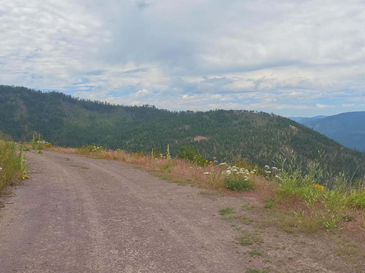 Cougar Creek Loop photo 4