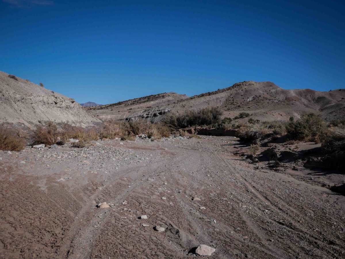 Ridge Trail photo 3