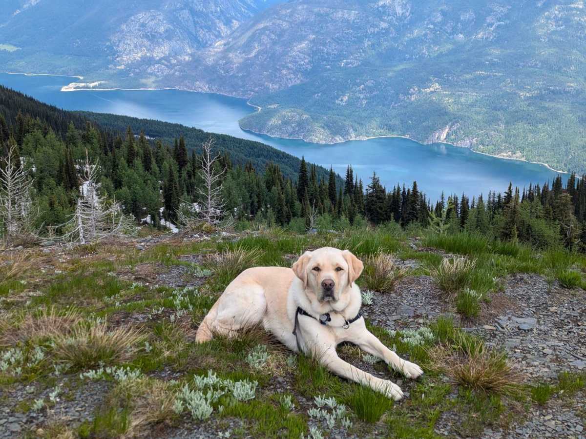 Milford Peak photo 5