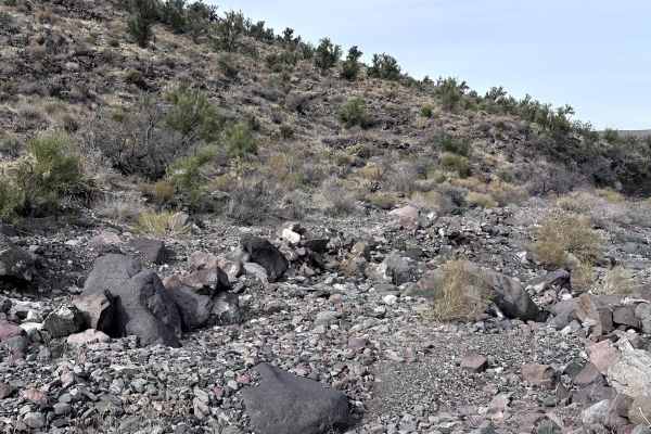 Cholla Pass Trail - H1165