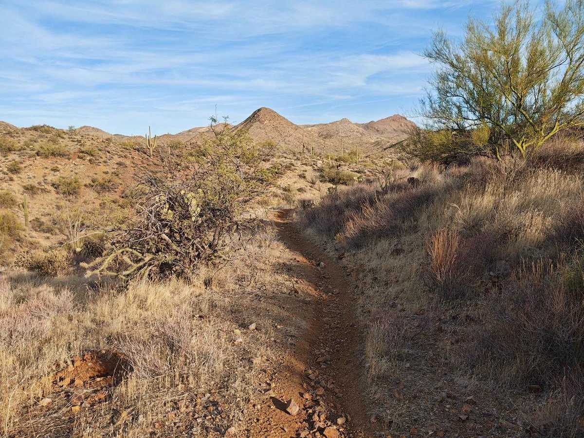 Wash Alternate - Single Track photo 3