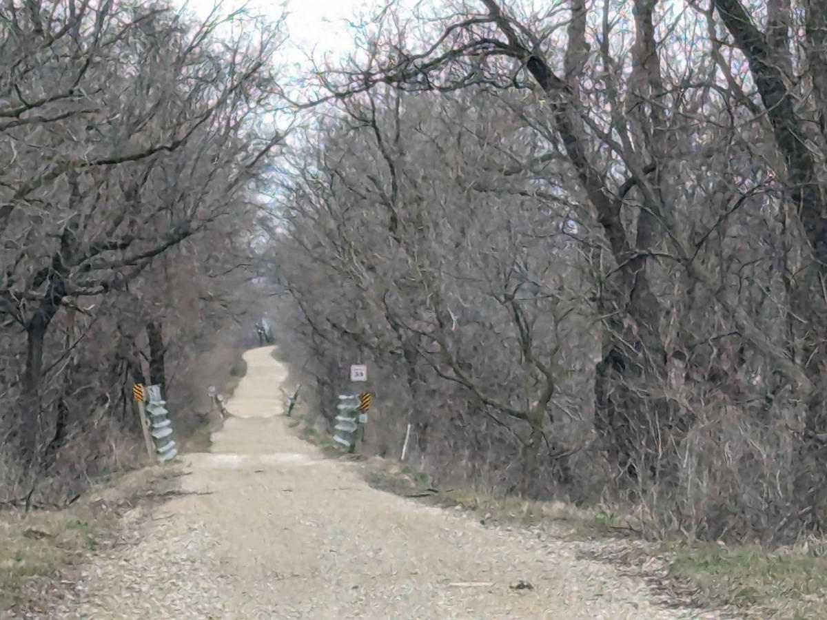 CCRT - South Wayne to Gratiot photo 5