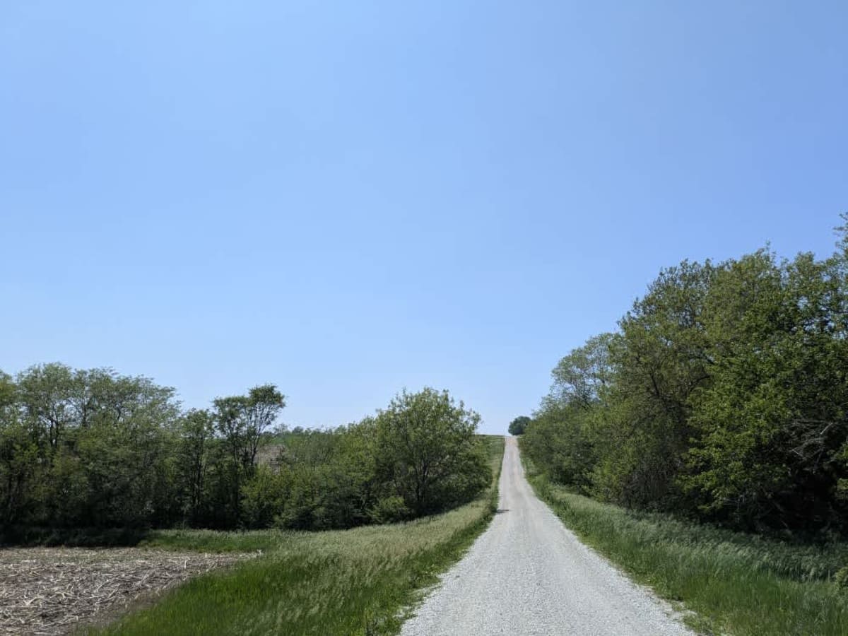 M Road trail photo