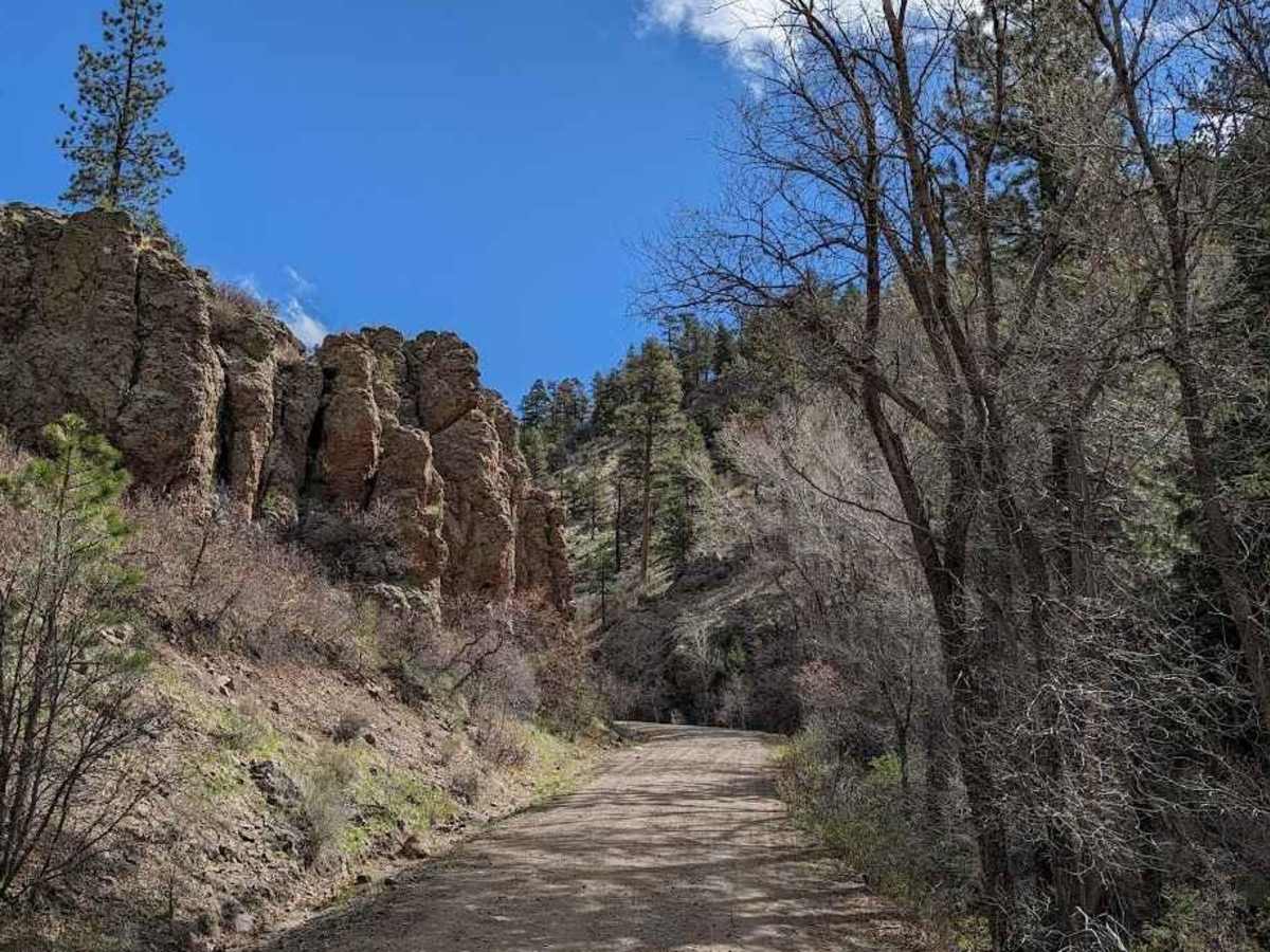 FS 222 Las Tablas to Tres Piedras trail photo