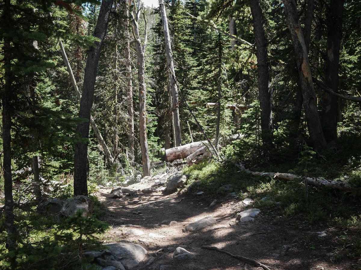 Hidden Lakes ATV #179 photo 5