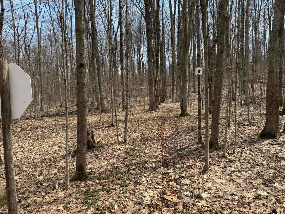 MCCCT - Caberfae Spur to West 38 photo 5