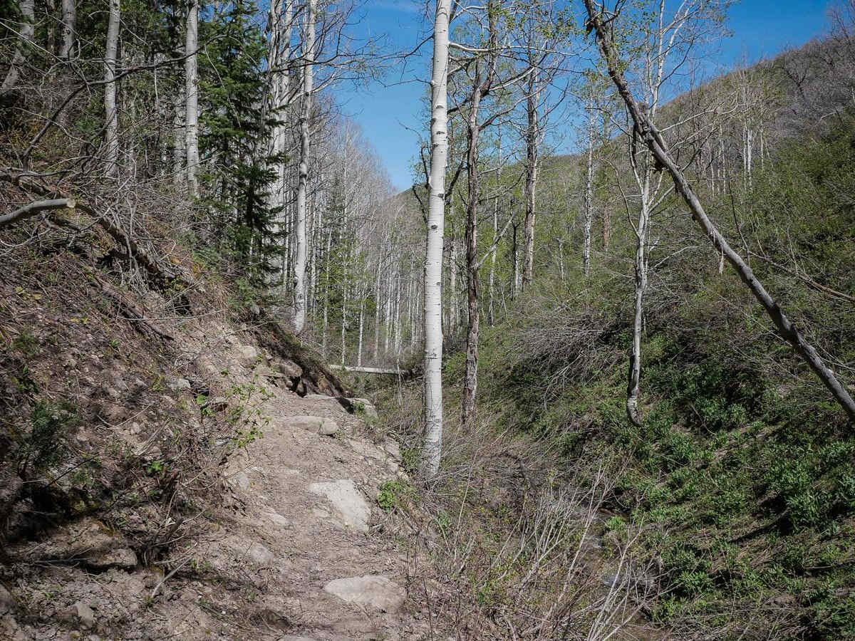 Third Water Creek #236 photo 4
