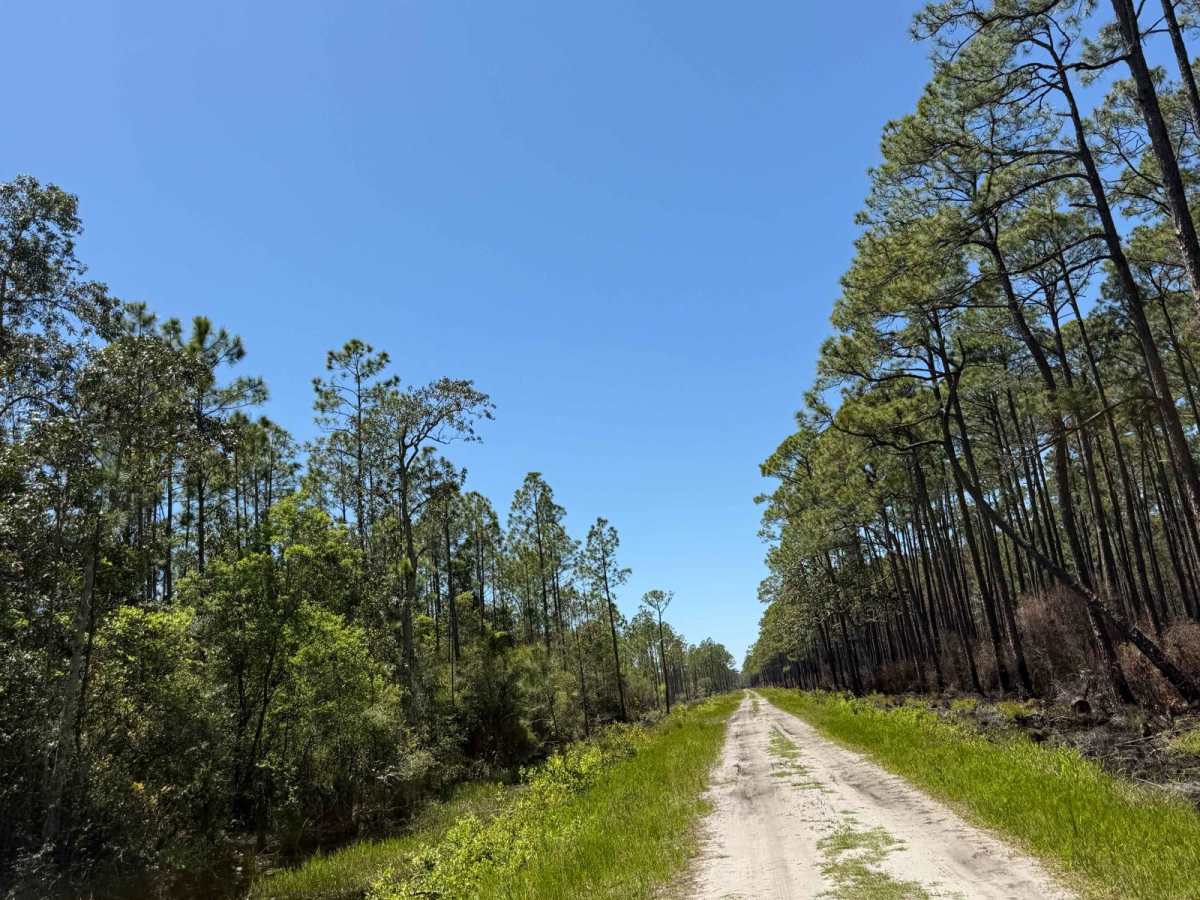 BOTOA Trail photo 4