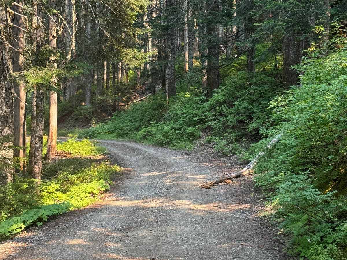 Forest Road  5300000 photo 2