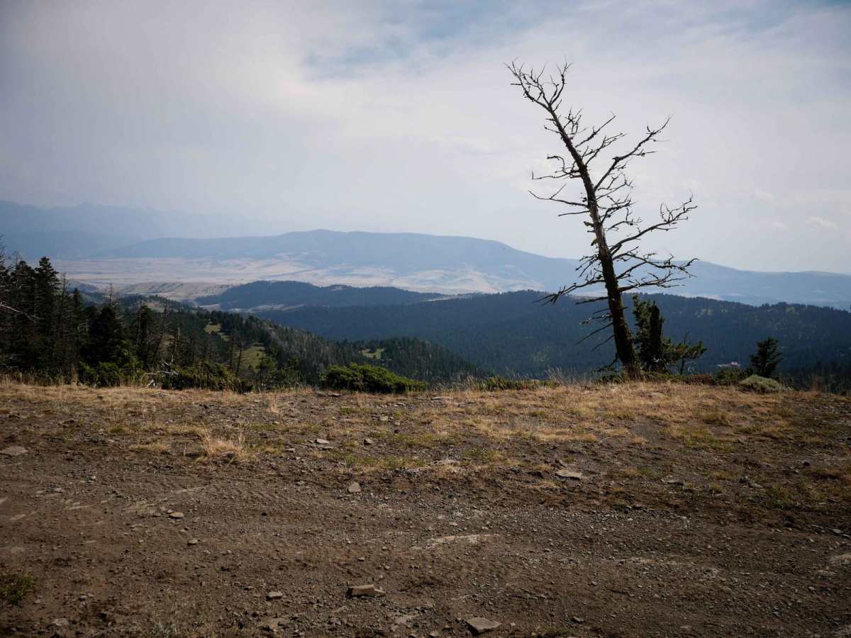 Jackson Creek ATV photo 4