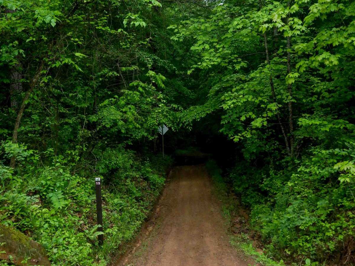 T15 trail photo
