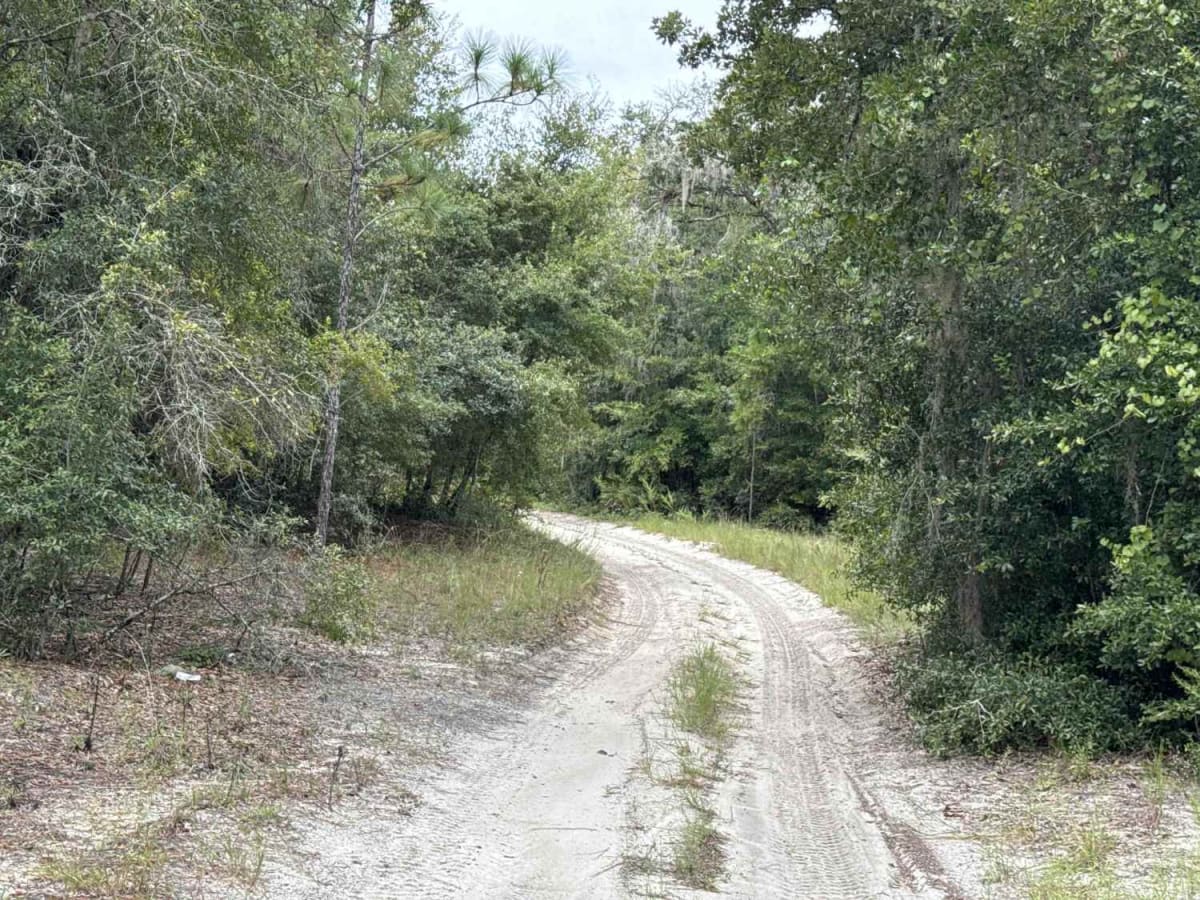 South West Pond Trail - ONF 314 5.7A photo 4