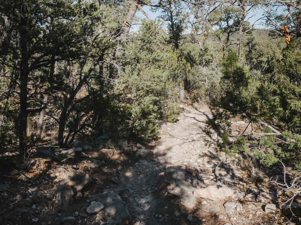 Lone Pine photo 6