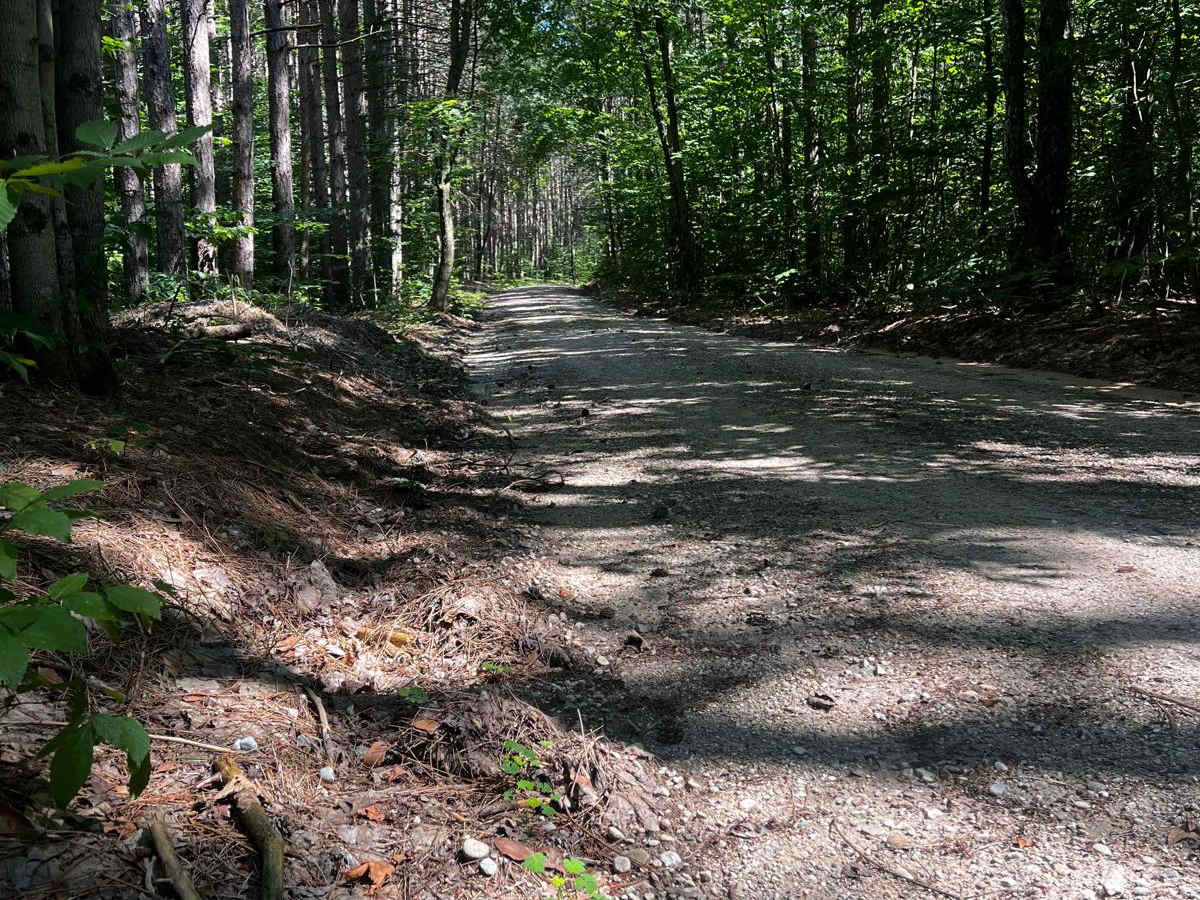 NFS 5269 photo 2