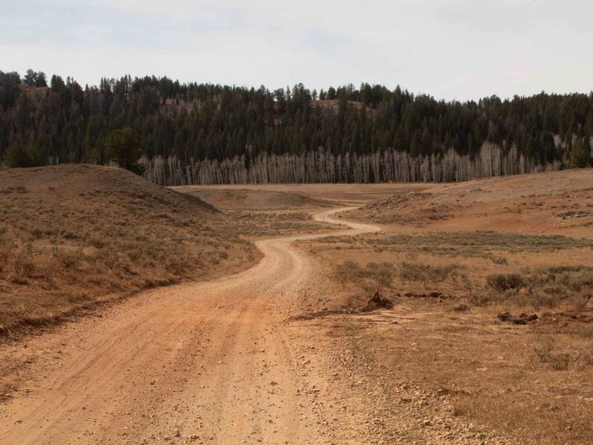 Curtis Creek Road (FR059) photo 5