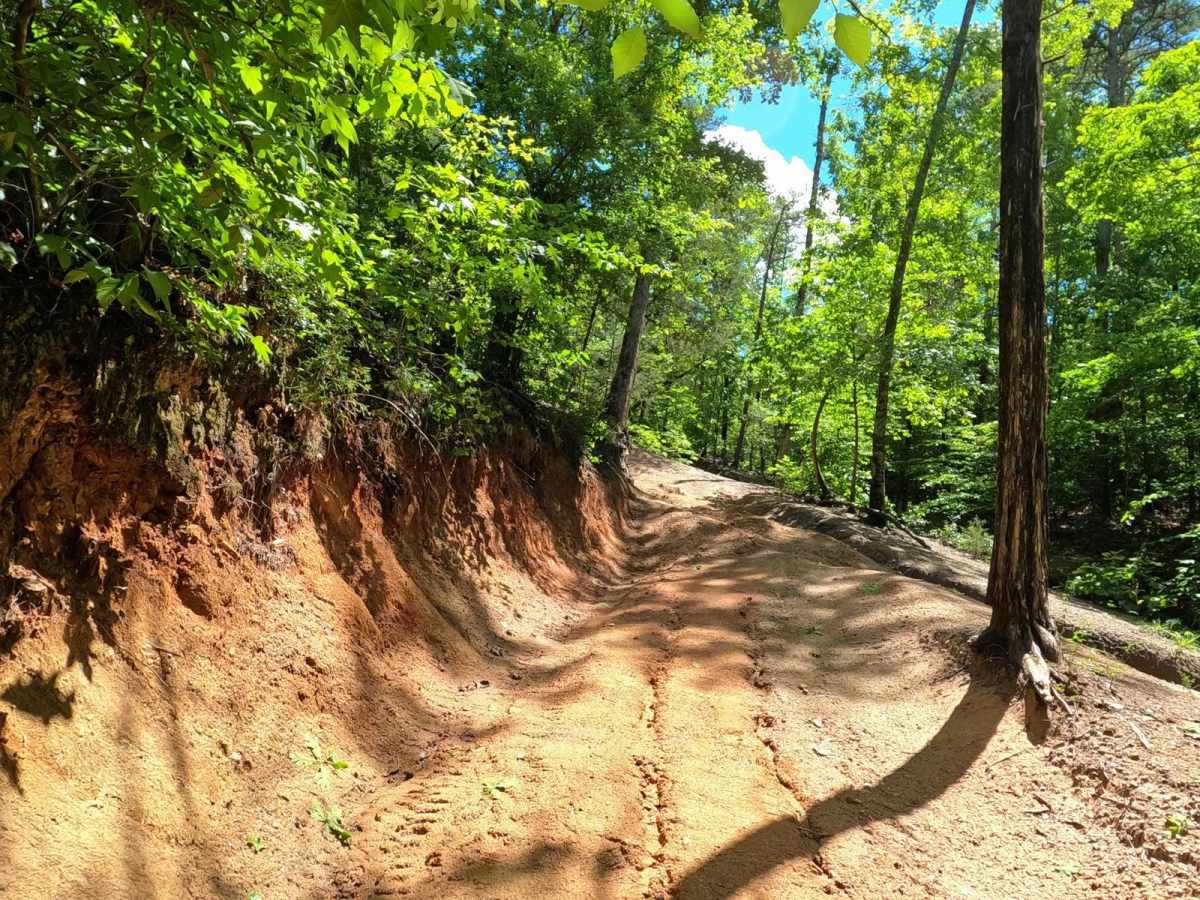 Papa Gulch Bypass trail photo