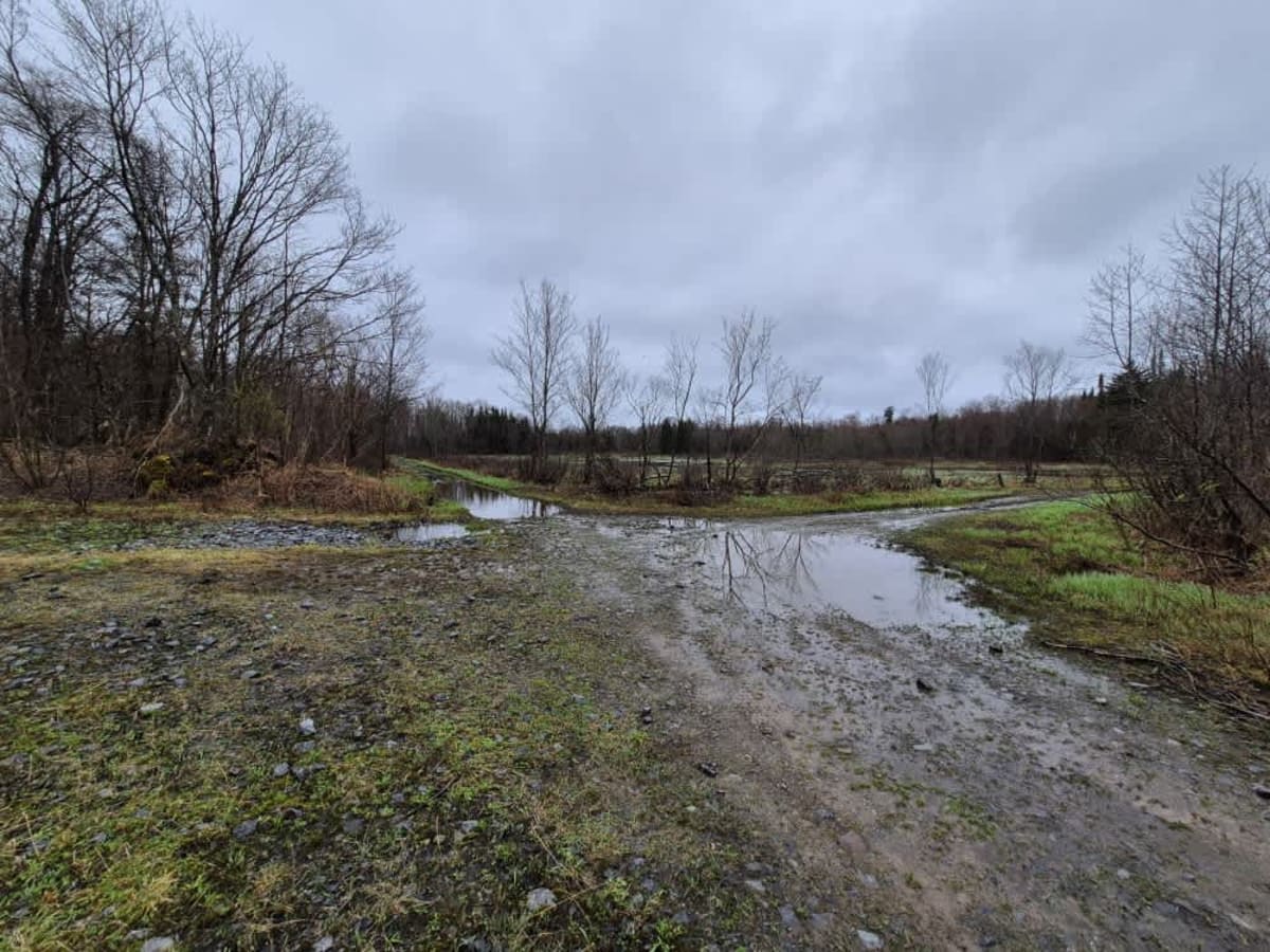 Glenfield and Western Railroad Corridor trail photo