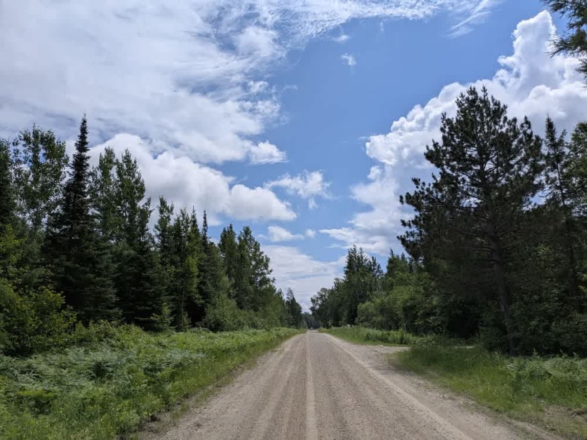 Burghardt Road trail photo