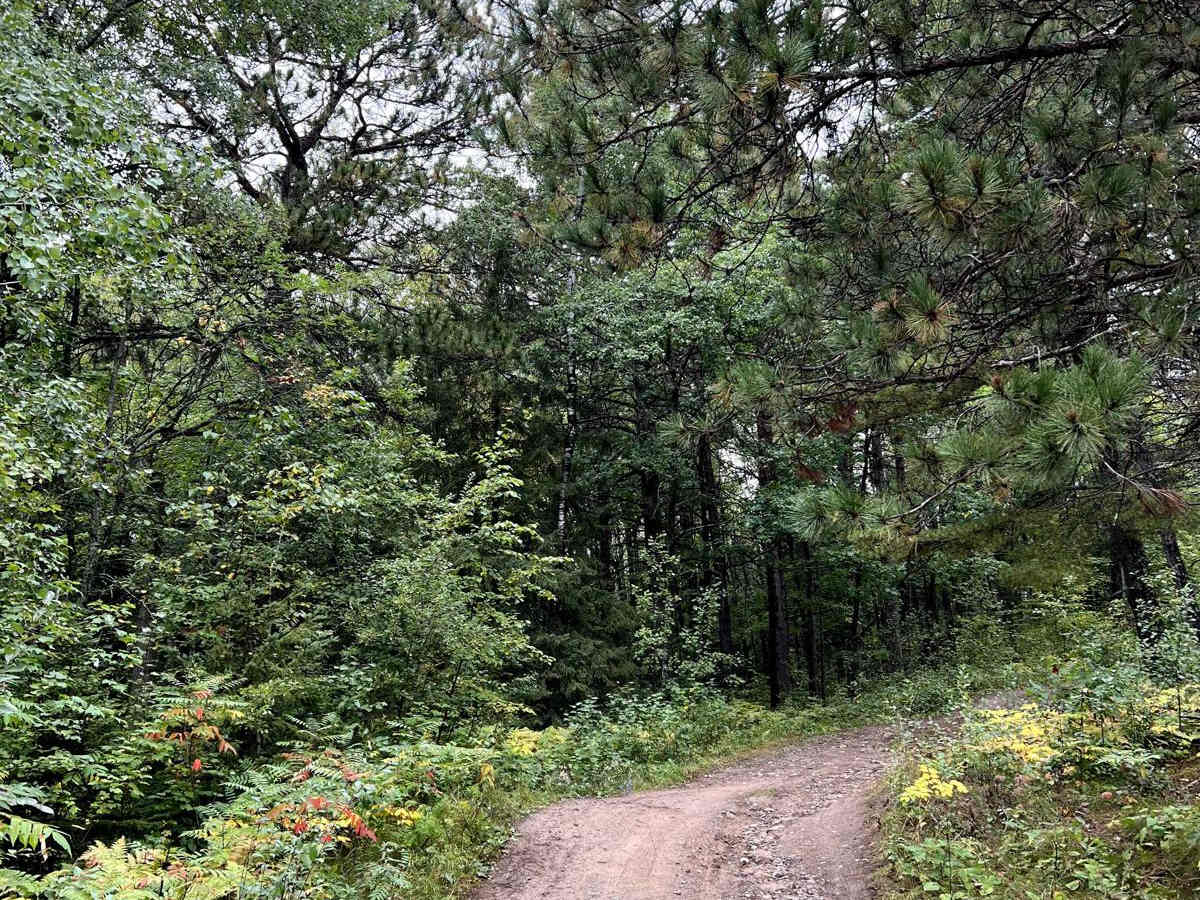 Thompson Minimum Maintenance Forest Road photo 6