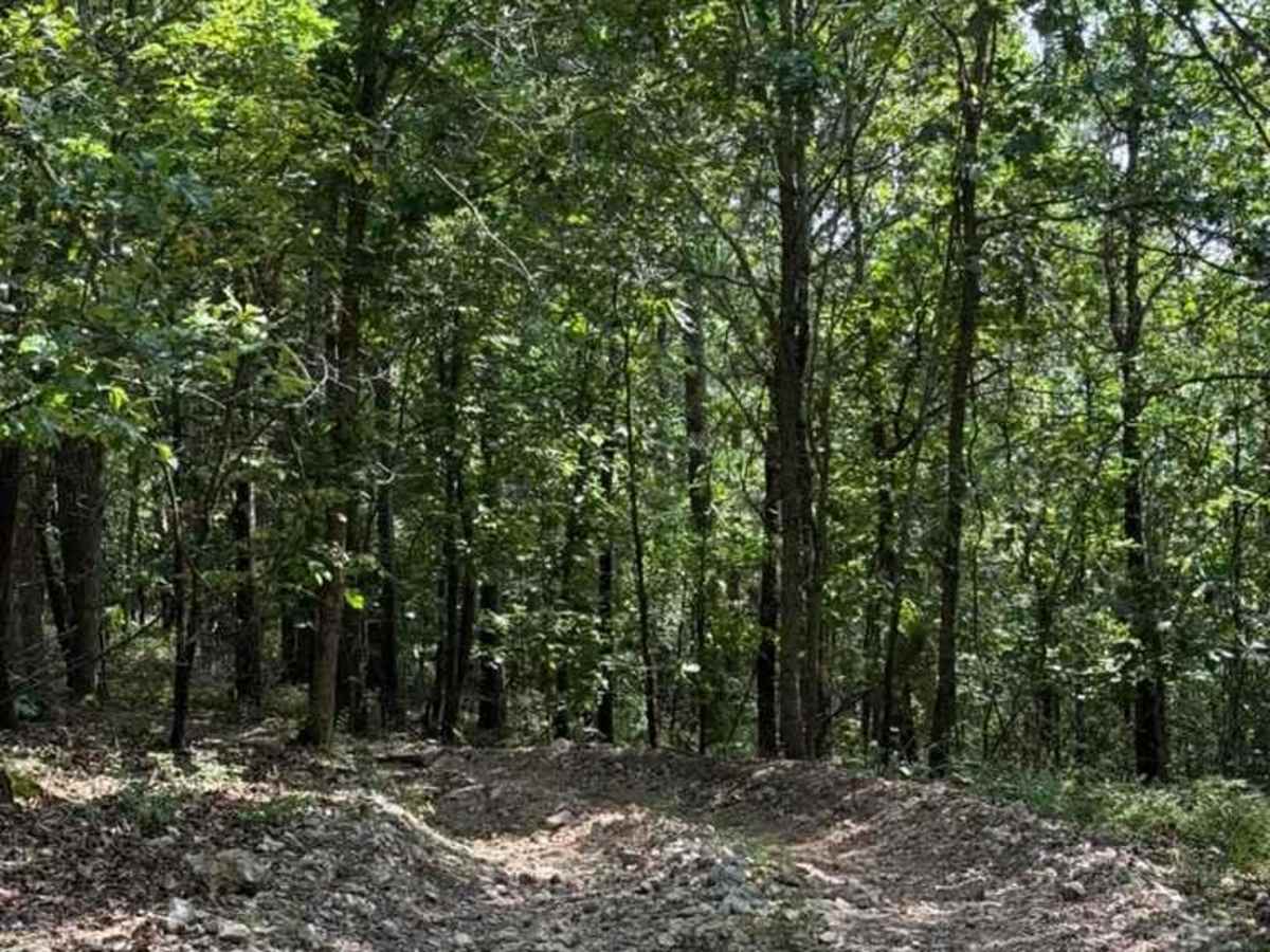 Truce's Trail photo 6