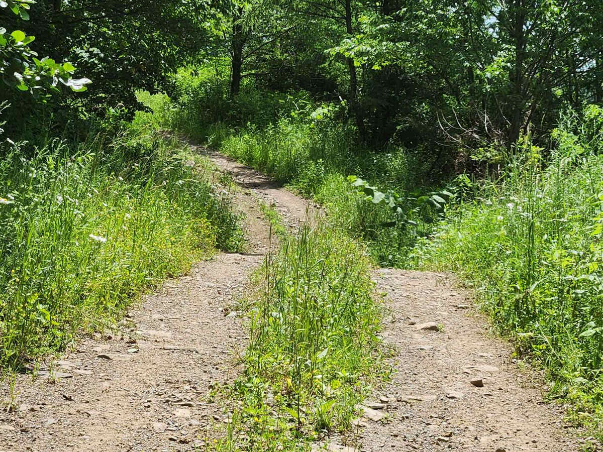 Trail 6E- Rock Run Recreation Area photo 4