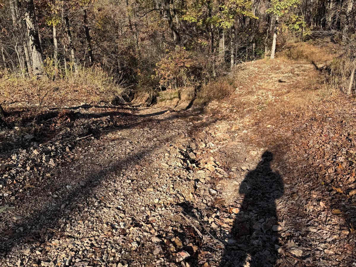 Red 141 trail photo