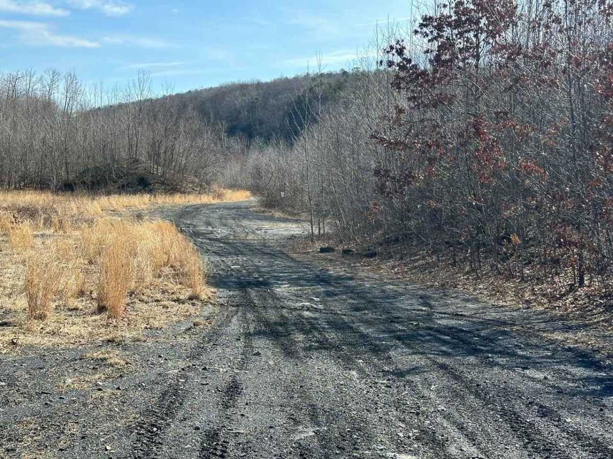 Locust Gap 45 photo 2