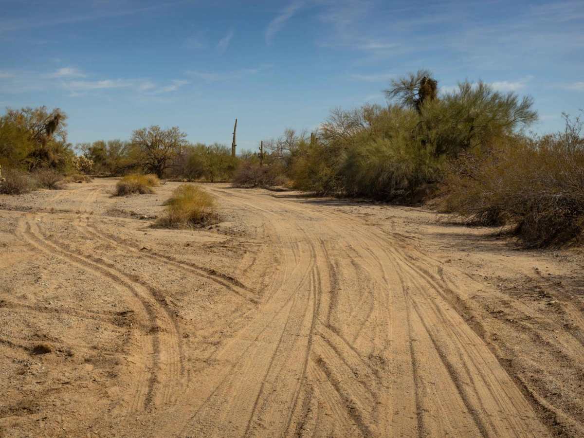 Parker Wash photo 4