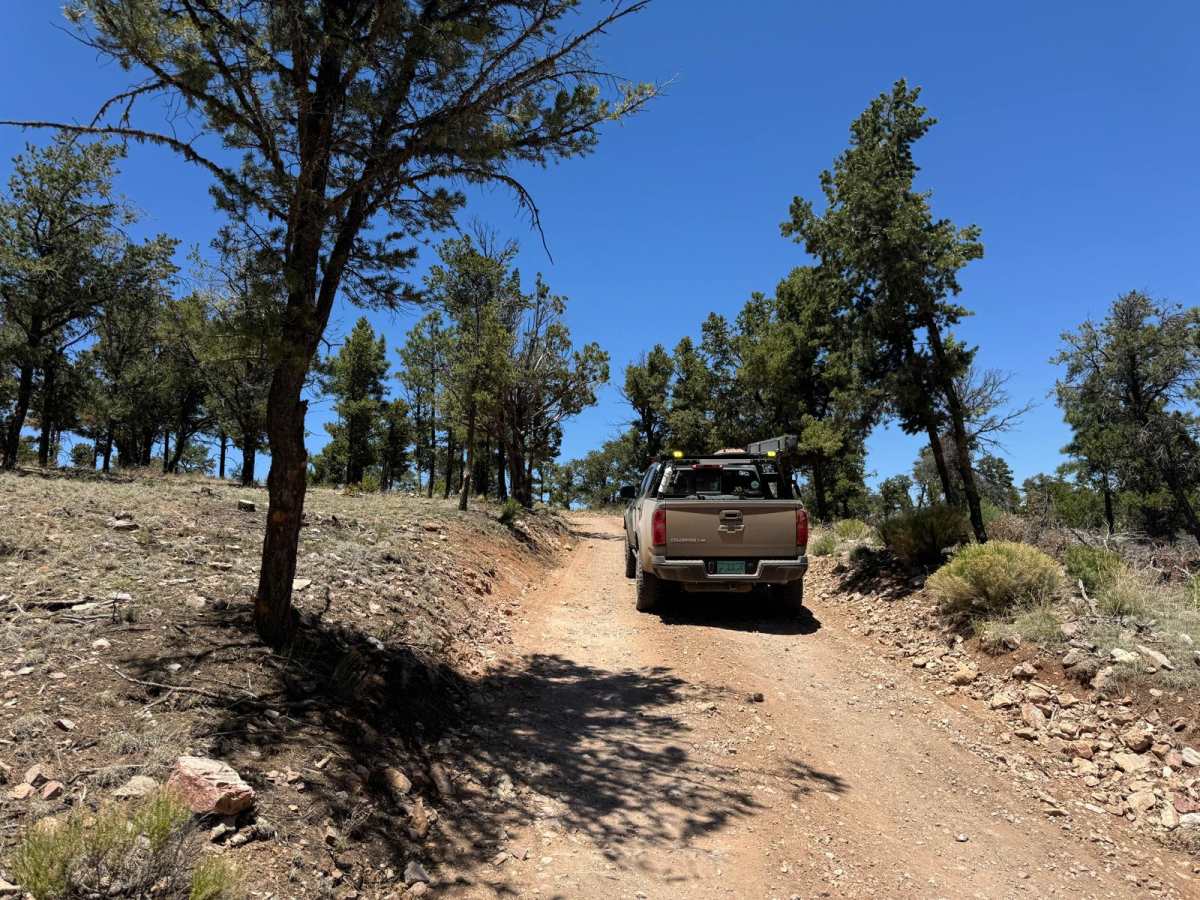 Old Canyon FR 220 photo 4