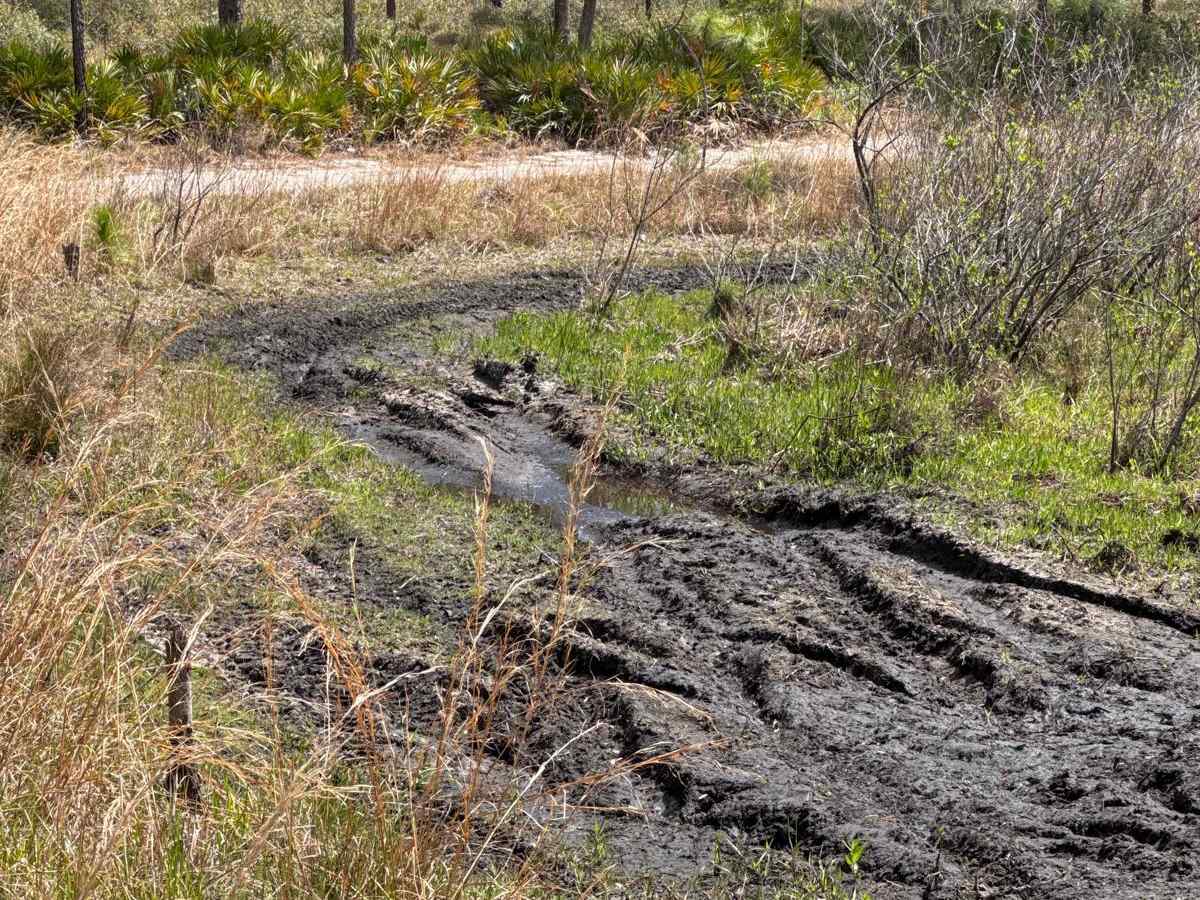 Powerline Road - NE 250th Ave Road photo 4