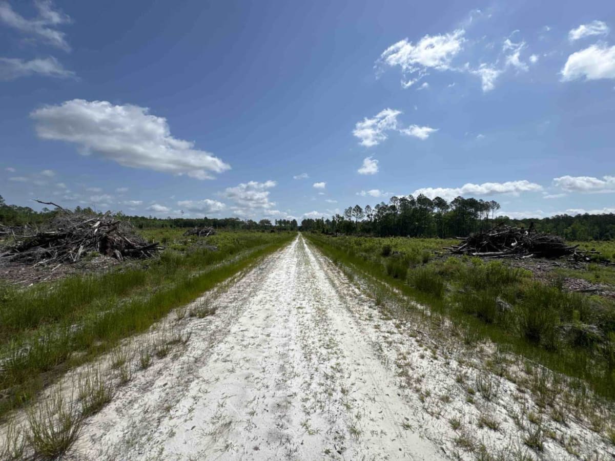 Jeep Trail - Grove Park South WMA photo 4