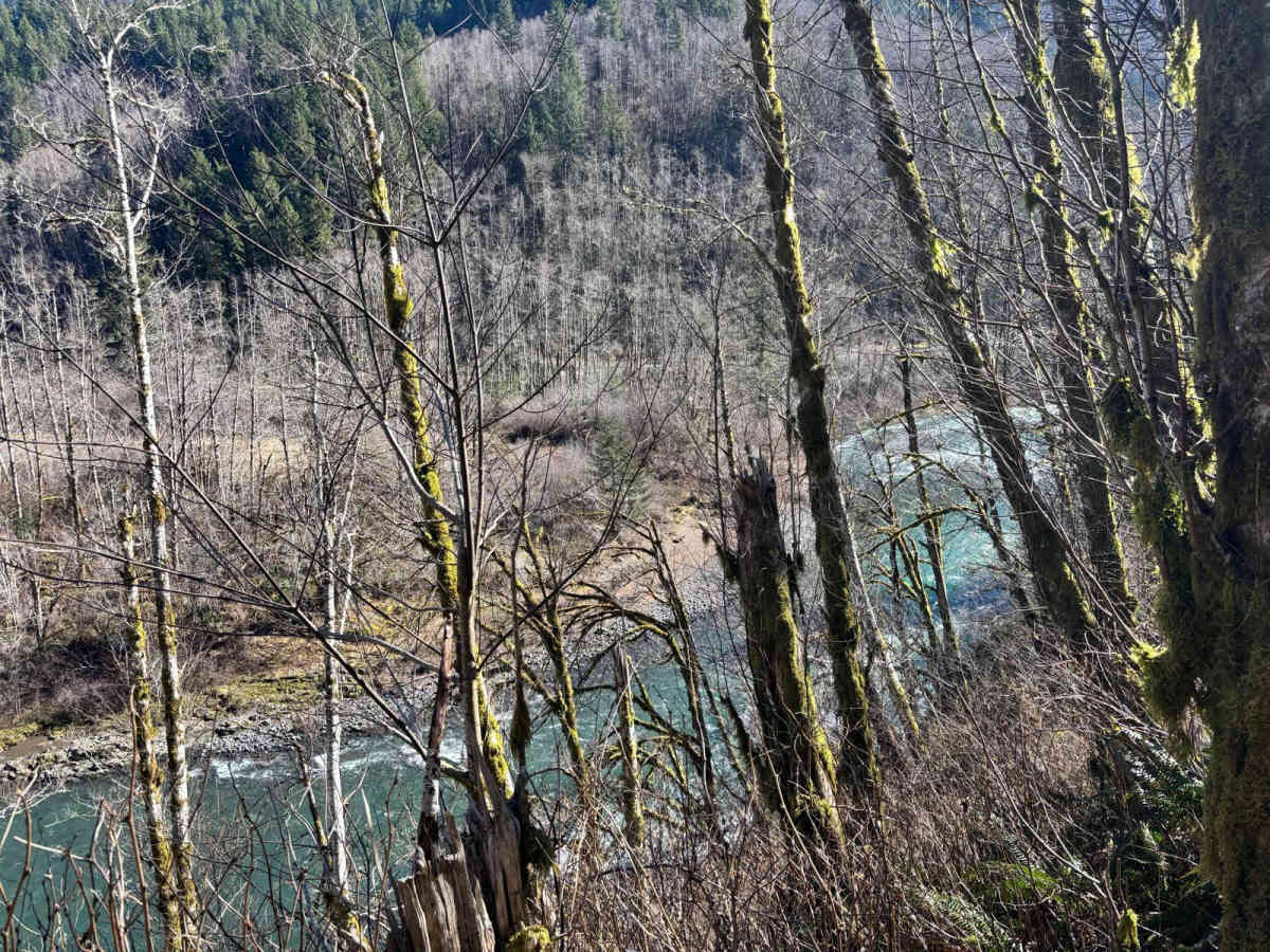 Muesial Creek Road photo 2