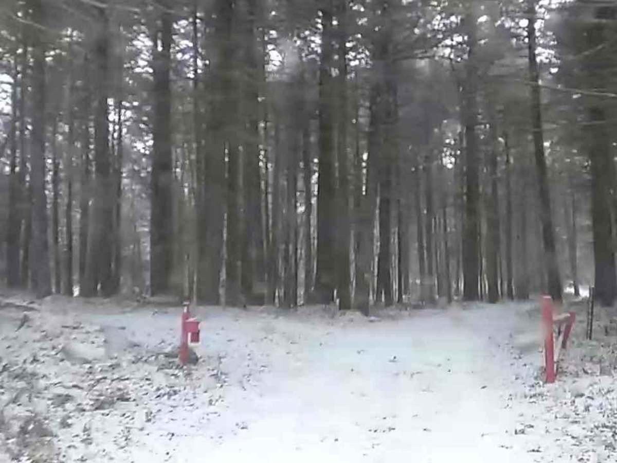 Richardson Clearing Trail & Cold Spring Drive photo 6