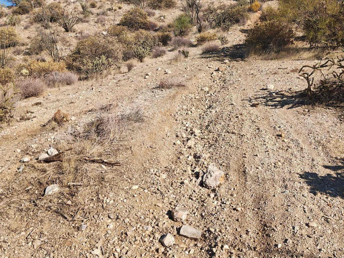 32008 32007 32144 - Single Track photo 6