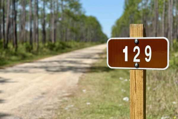 Brickyard Landing - 129