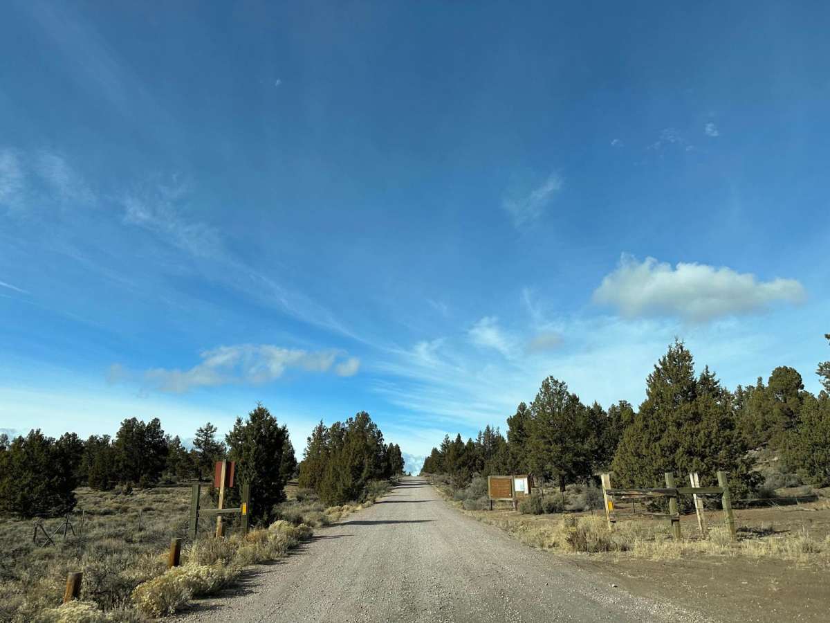 Barr Road Cut Through photo 4