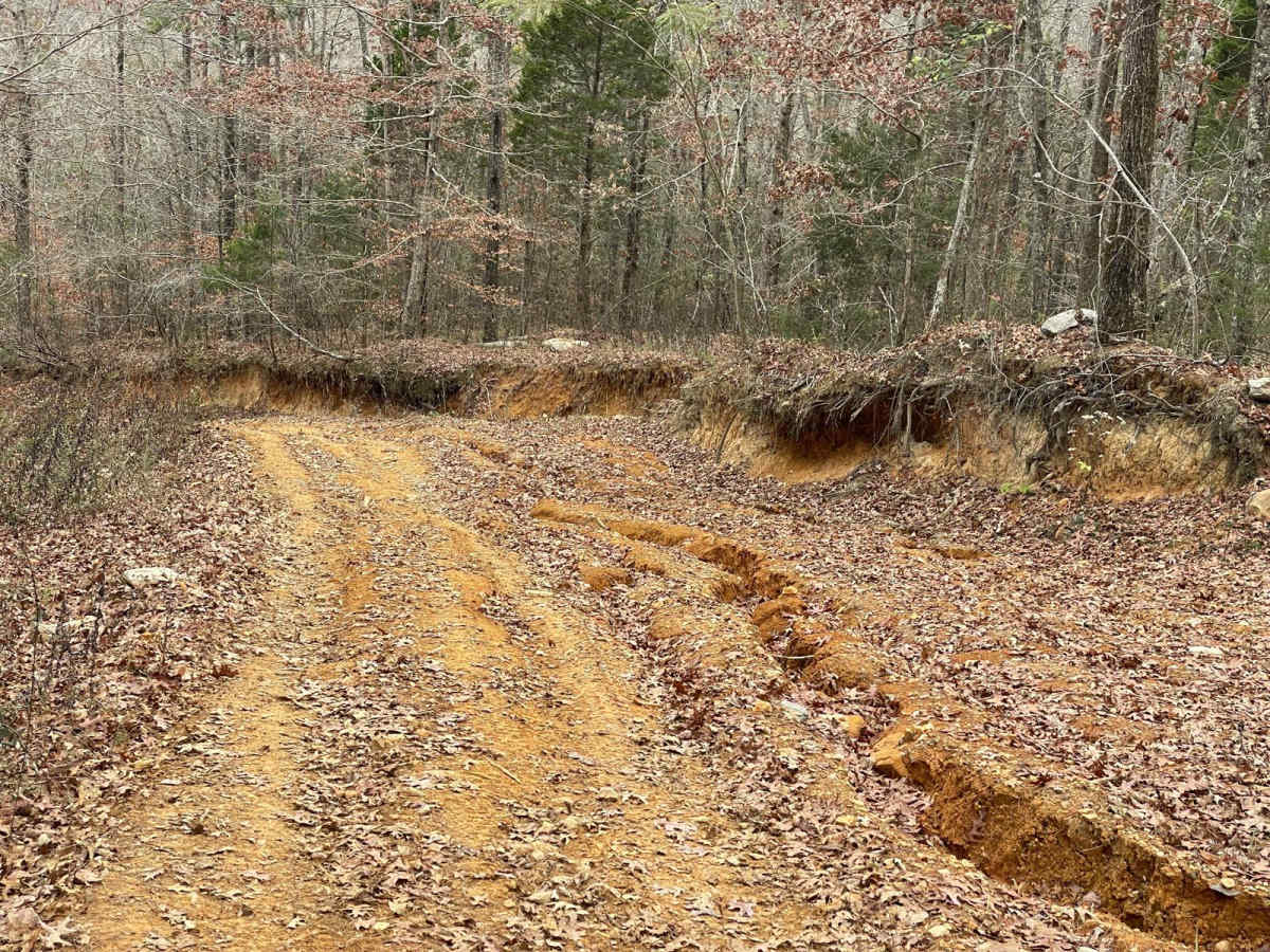 Evan's Ridge photo 2