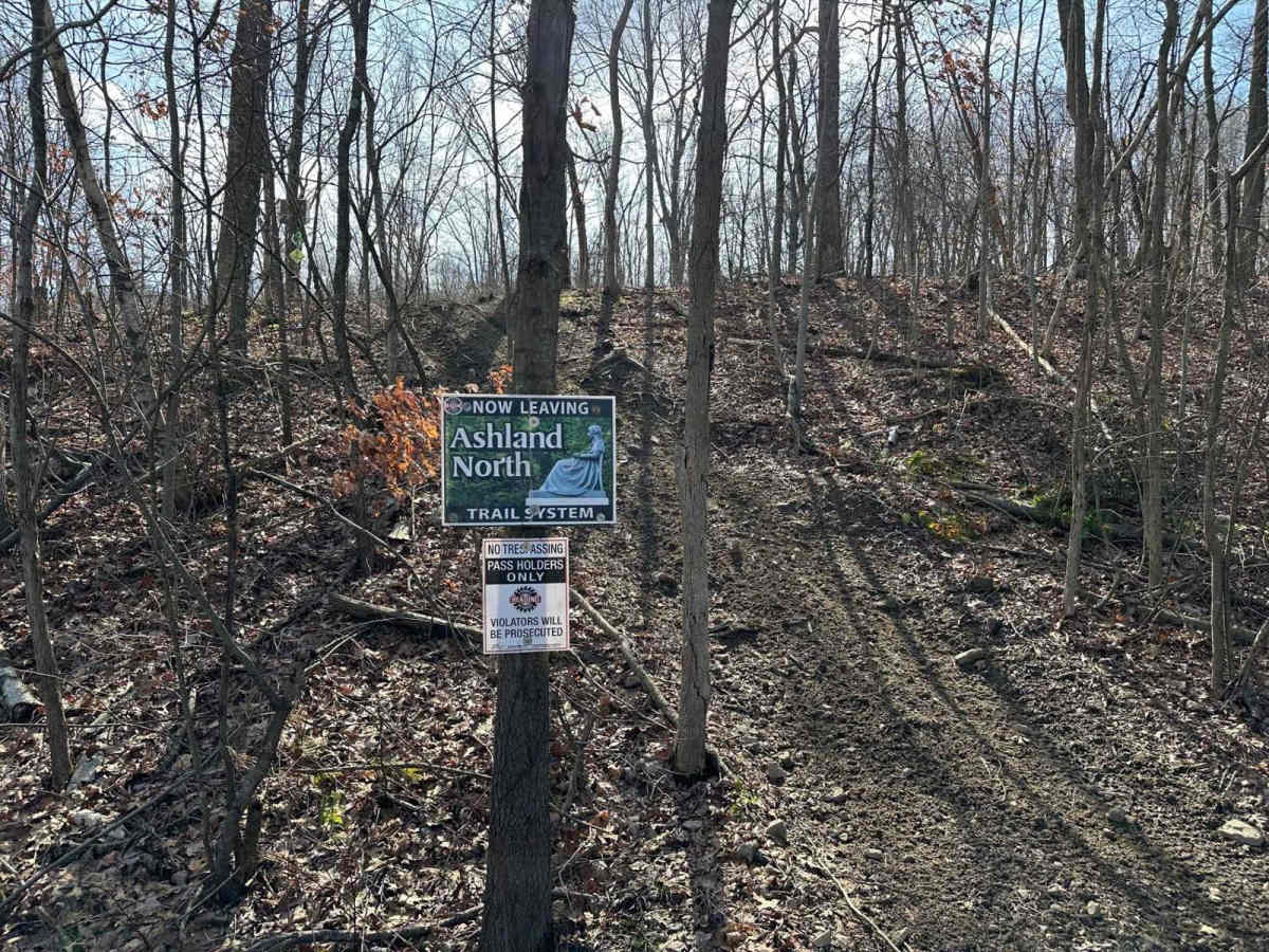 Locust Gap 49 photo 6
