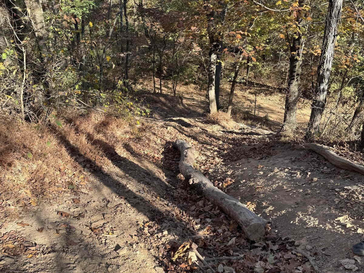 Trifecta of Trouble Hill 55 trail photo