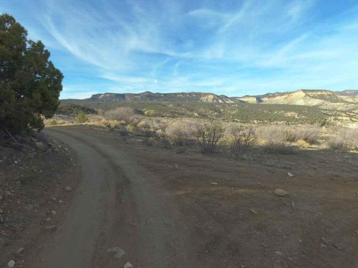 Twin Hollow BLM 98 photo 6