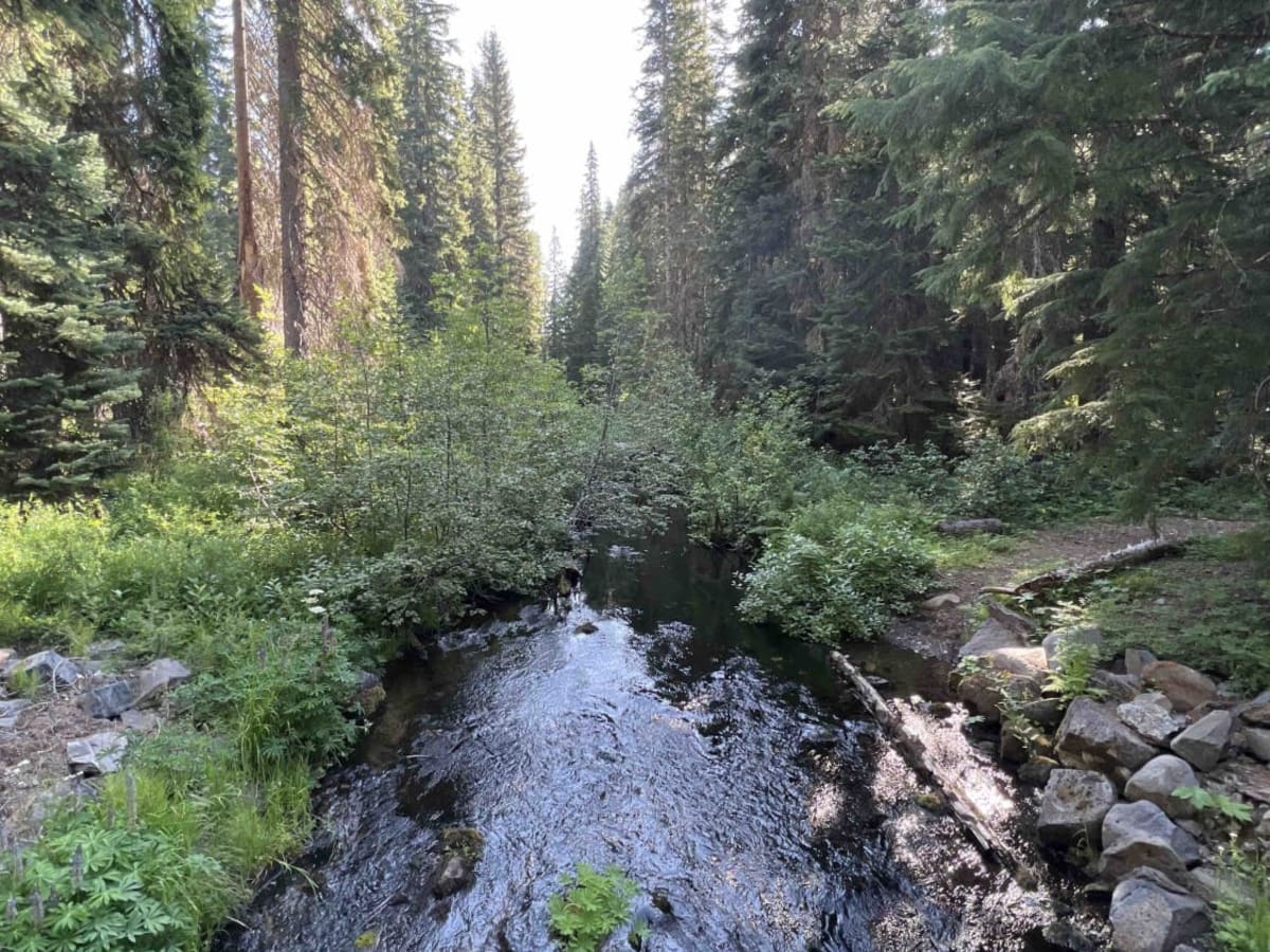 Horn Creek 2257 photo 3