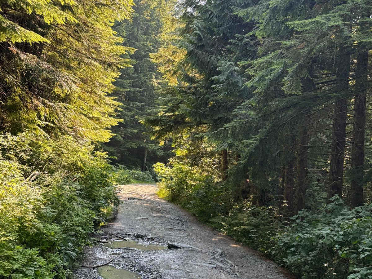 Bear Lake Trail photo 3