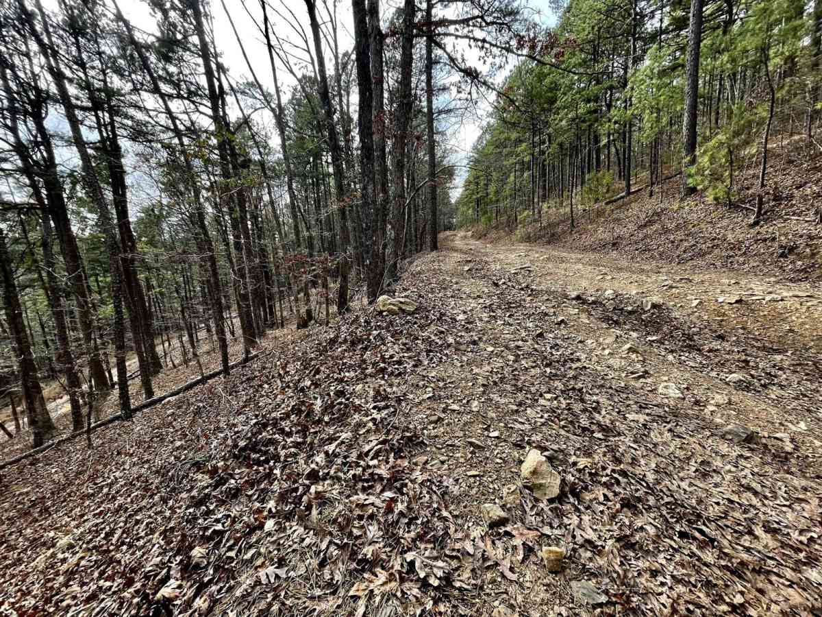 Muse Mountain Road photo 2
