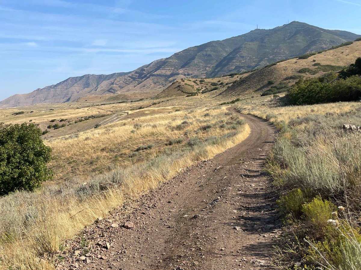 Bates Canyon Trail Access To Erda Lookout photo 4