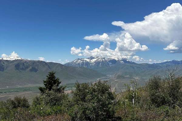 Wallsburg Ridge Trail